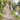 Lady walking on scenic path next to a lake