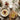 Bread, dates, milk and olive oil on table